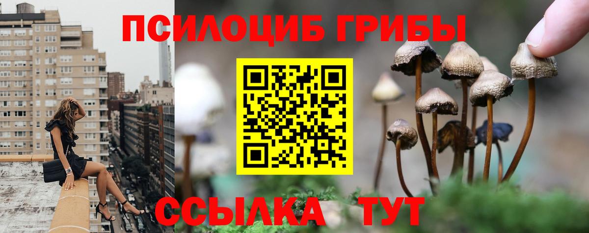 Псилоцибиновые грибы мухоморы Мариинск