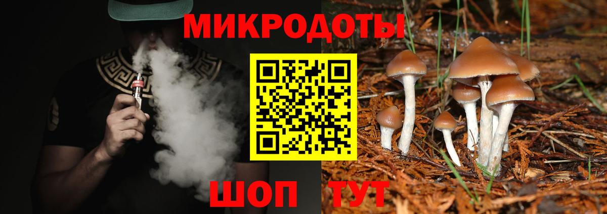 Галлюциногенные грибы GOLDEN TEACHER  Вход с VPN  где купить наркотик  Мариинск  Псилоцибиновые грибы GOLDEN TEACHER 